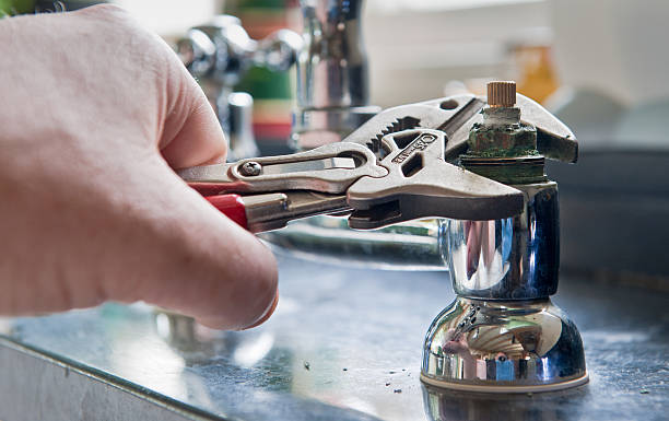Best Basement water damage restoration  in Frankfort, MI