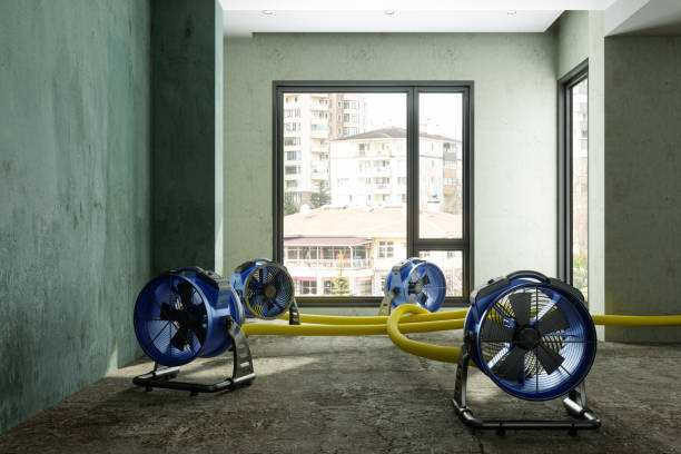 Water damage restoration insurance claims in Frankfort, MI